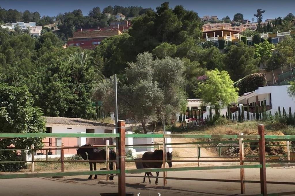 Appartamento Denia - Golf La Sella "Refugio Marino" Pedreguer Esterno foto